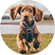 Pet Promo Codes